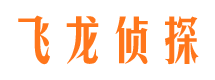 禄丰私家调查公司